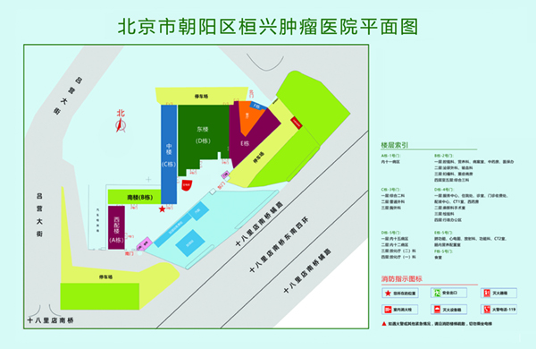 大鸡巴AV北京市朝阳区桓兴肿瘤医院平面图